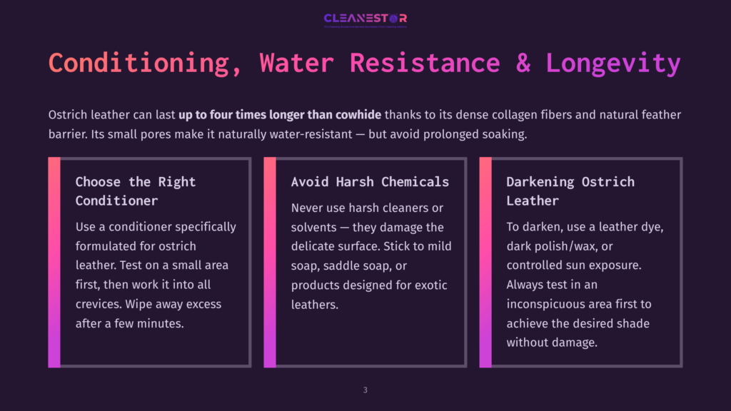 Infographic Titled &Quot;Conditioning, Water Resistance &Amp; Longevity&Quot; For Ostrich Leather, With Three Columns: &Quot;Choose The Right Conditioner,&Quot; &Quot;Avoid Harsh Chemicals,&Quot; And &Quot;Darkening Ostrich Leather,&Quot; Offering Care Tips.