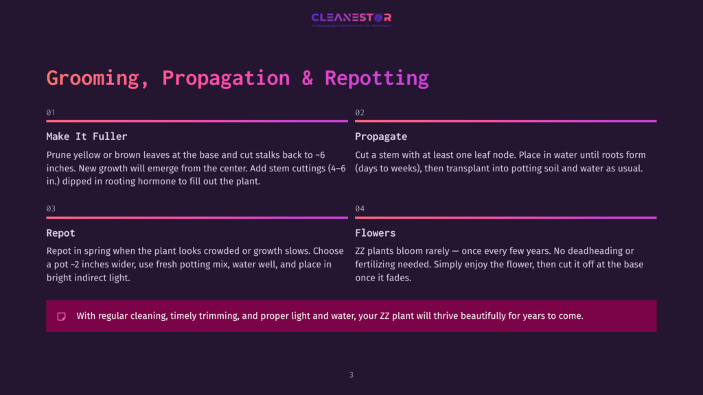 3 Grooming Propagation And Repotting A Slide From A Presentation Titled &Quot;Grooming, Propagation &Amp; Repotting&Quot; With Numbered Sections Detailing Plant Care: Make It Fuller, Propagate, Repot, And Flowers. The Slide Includes Text And A Graphic Of A Zz Plant.