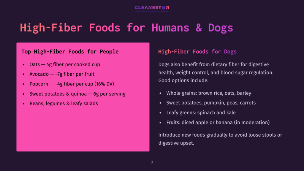 A Slide Titled &Quot;High-Fiber Foods For Humans &Amp; Dogs&Quot; Lists High-Fiber Foods For People And Dogs, With A Purple Background And Pink Sidebar.