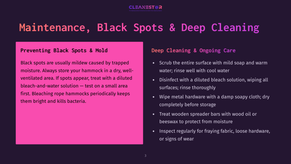3 Maintenance Black Spots And Deep Cleaning Slide Titled &Quot;Maintenance, Black Spots &Amp; Deep Cleaning&Quot; With Sections On Preventing Black Spots And Deep Cleaning, Including Bullet Points With Instructions.