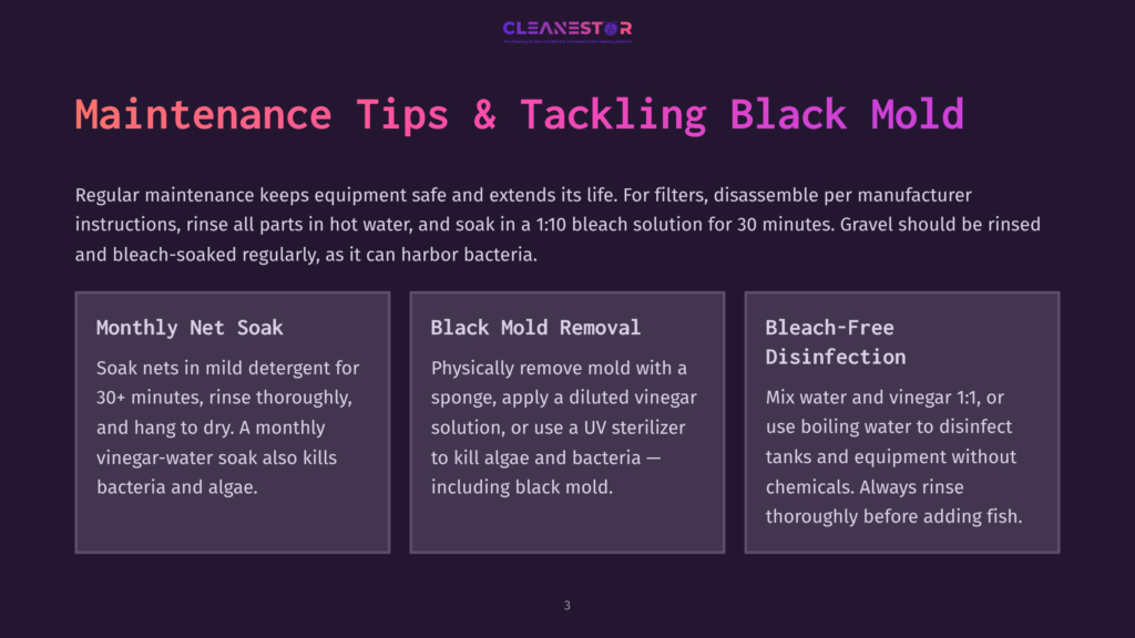 Cleanestor Logo And &Quot;Maintenance Tips &Amp; Tackling Black Mold&Quot; Title, Followed By Three Columns: &Quot;Monthly Net Soak,&Quot; &Quot;Black Mold Removal,&Quot; And &Quot;Bleach-Free Disinfection&Quot; With Descriptive Text.