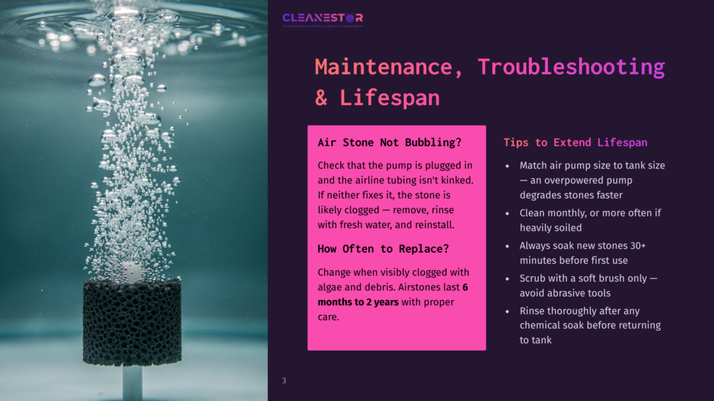 A Black Air Stone Sits At The Bottom Of A Tank, Releasing A Stream Of Bubbles Upwards. The Text &Quot;Cleanestor&Quot; Is Visible At The Top Of The Image, Along With &Quot;Maintenance, Troubleshooting &Amp; Lifespan&Quot; And &Quot;Air Stone Not Bubbling?&Quot;.