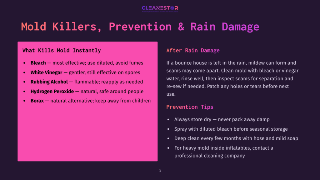 A Dark Purple Slide Titled &Quot;Mold Killers, Prevention &Amp; Rain Damage&Quot; With Two Columns: &Quot;What Kills Mold Instantly&Quot; Listing Bleach, White Vinegar, Rubbing Alcohol, Hydrogen Peroxide, And Borax, And &Quot;After Rain Damage&Quot; With Prevention Tips.