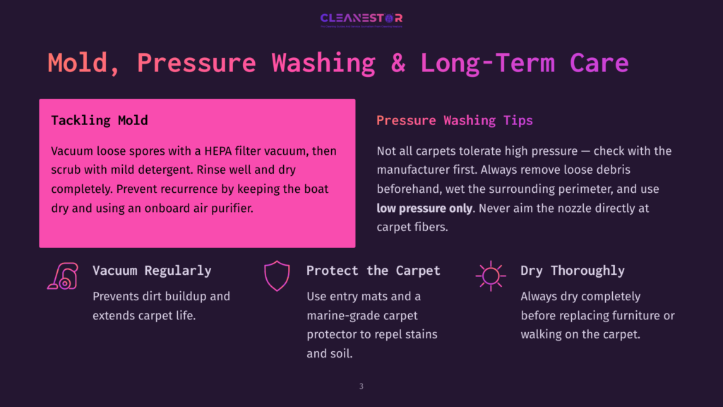 Infographic Detailing Mold, Pressure Washing, And Long-Term Care For Carpets. Sections Cover Tackling Mold With A Hepa Vacuum, Pressure Washing Tips, Vacuuming Regularly, Protecting The Carpet, And Dry Thoroughly Cleaning Methods.