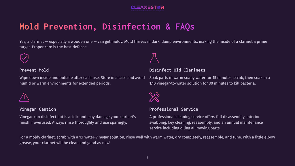 Infographic Detailing Mold Prevention And Disinfection For Clarinets, Featuring Icons For Prevent Mold, Disinfect Old Clarinets, Vinegar Caution, And Professional Service.