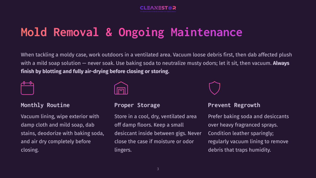 Cleanestor Logo At The Top, With Text Detailing Mold Removal And Ongoing Maintenance Tips For Outdoor Items, Including Proper Storage And Preventing Regrowth.
