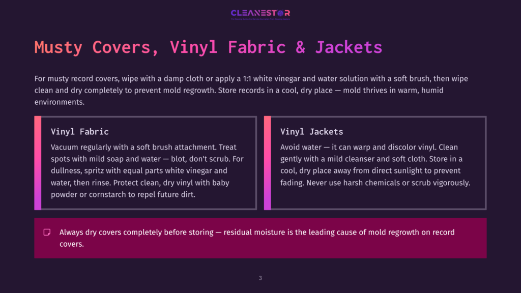 Cleanestor Branding And Text On A Dark Purple Background. The Text Provides Instructions For Cleaning Vinyl Fabric And Vinyl Jackets, Emphasizing Mold Prevention.