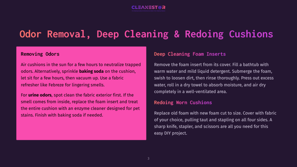 Text Overlay On A Dark Purple Background: &Quot;Odor Removal, Deep Cleaning &Amp; Redoing Cushions&Quot;. Left Side Details &Quot;Removing Odors&Quot; With Bullet Points. Right Side Details &Quot;Deep Cleaning Foam Inserts&Quot; And &Quot;Redoing Worn Cushions&Quot; With Bullet Points.