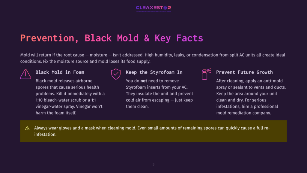 Infographic Detailing Ac Mold Prevention: Black Mold In Foam, Keeping Styrofoam In, And Preventing Future Growth With Anti-Mold Spray. Includes Safety Warning About Gloves And Masks.
