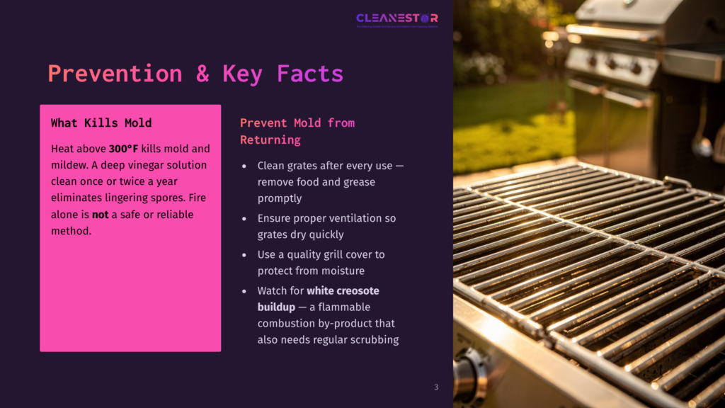 Close-Up Of A Clean, Empty Stainless Steel Grill Grate With A Blurred Gas Grill In The Background. Text On The Left Discusses Preventing Mold And Mildew On Grills.