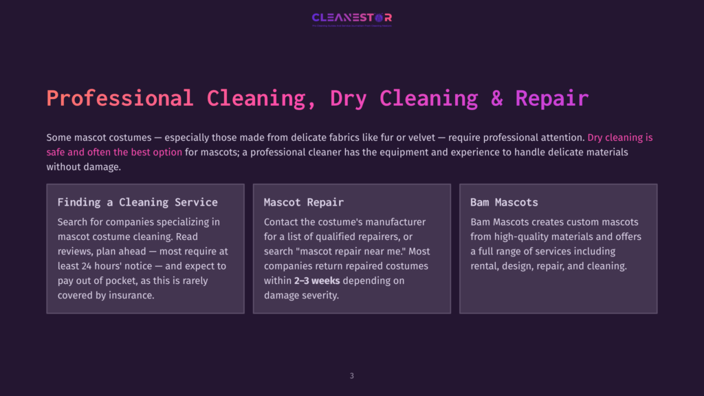 3 Professional Cleaning Dry Cleaning And Repair A Presentation Slide With The Title &Quot;Professional Cleaning, Dry Cleaning &Amp; Repair&Quot; And Three Sections: &Quot;Finding A Cleaning Service,&Quot; &Quot;Mascot Repair,&Quot; And &Quot;Bam Mascots.