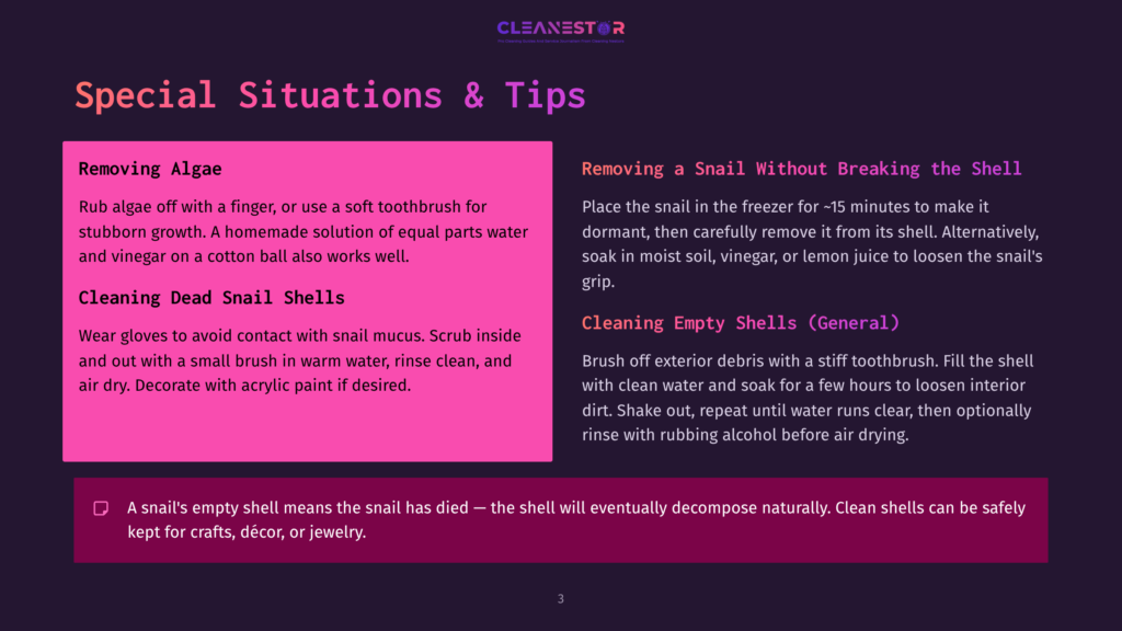 A Slide With The Title &Quot;Special Situations &Amp; Tips&Quot; Lists Advice For Removing Algae, Cleaning Dead Snail Shells, And Cleaning Empty Snail Shells. The Text Is In English.
