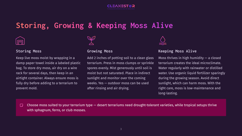 Diagram Showing Three Methods For Storing, Growing, And Keeping Moss Alive: Wrapping In A Damp Paper Towel, Growing In A Terrarium With Potting Soil, And Thriving In High Humidity With Liquid Fertilizer.