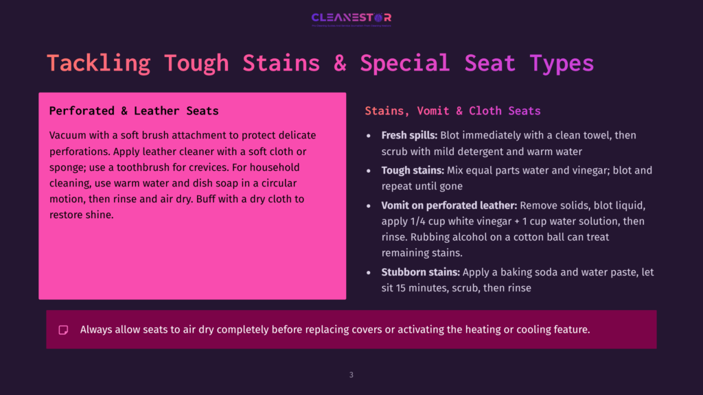 Cleanestor Graphic: &Quot;Tackling Tough Stains &Amp; Special Seat Types&Quot; With Instructions For Cleaning Perforated And Leather Seats, And Tackling Stains From Spills, Vomit, And Stubborn Spots.