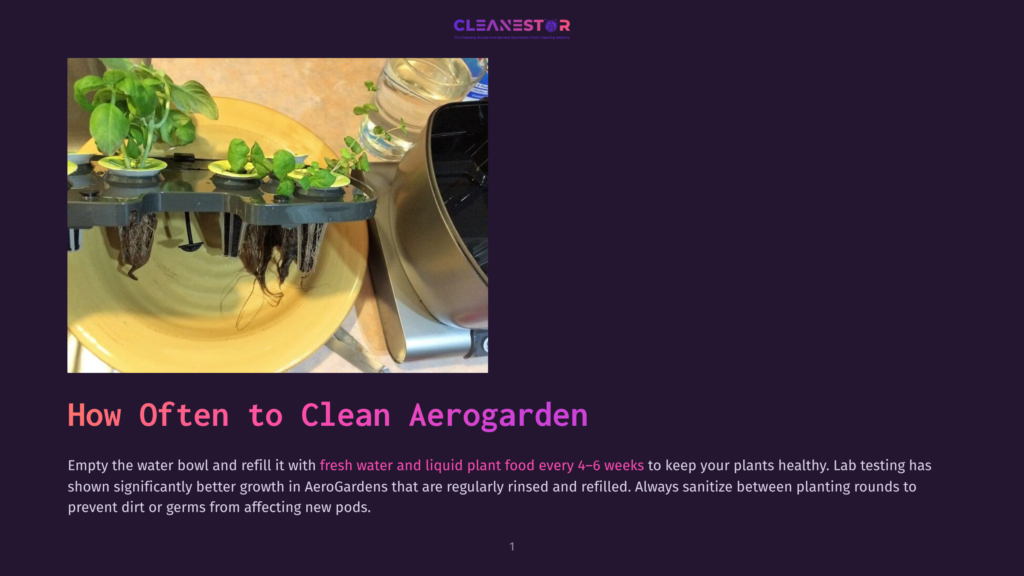 Close-Up Of Aerogarden Pods With Healthy Green Basil Plants And Visible Roots Submerged In Water. The Text Overlay Reads &Quot;How Often To Clean Aerogarden&Quot;.