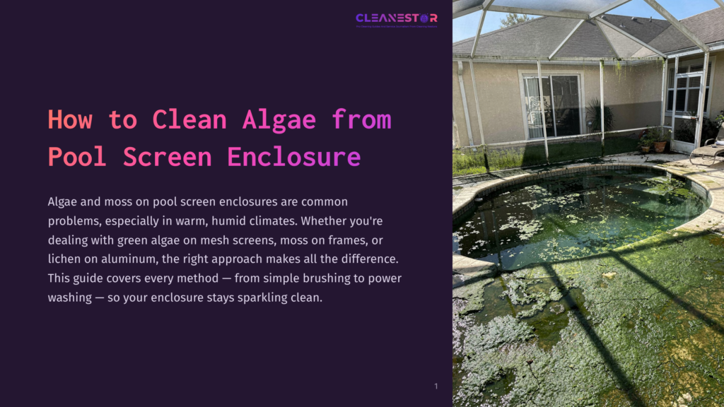 A Neglected Pool Screen Enclosure With A Heavily Algae-Covered Pool, Overgrown Plants, And Dirty Screens. Text Overlay Reads: &Quot;Cleanestor - How To Clean Algae From Pool Screen Enclosure.