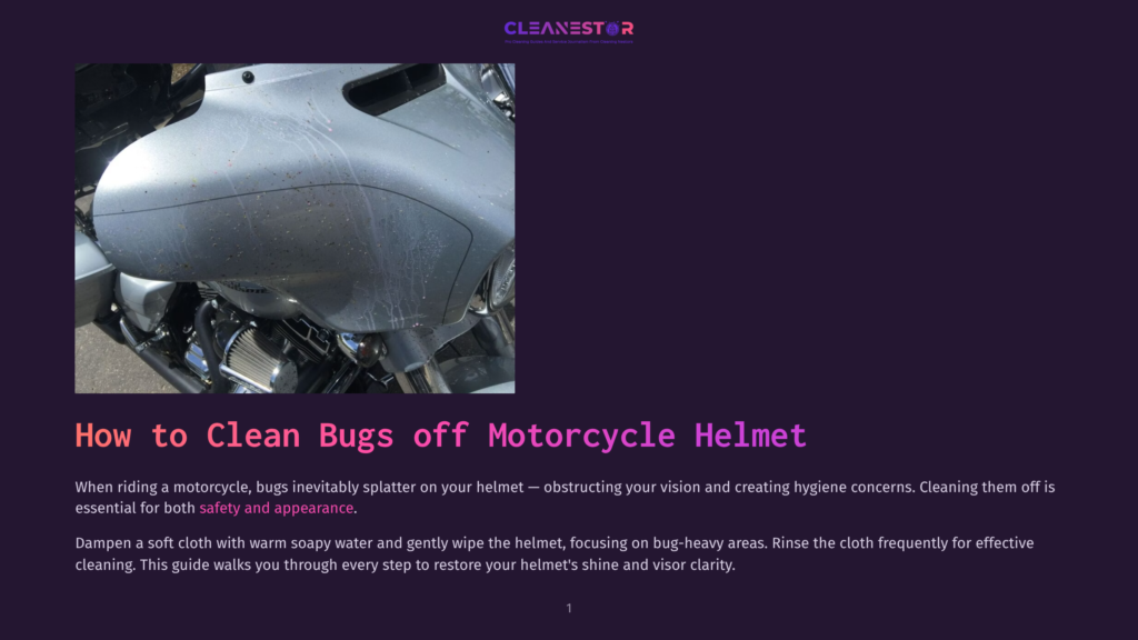 Close-Up Of A Motorcycle Fairing Heavily Splattered With Dead Bugs, Showing The Need For Cleaning.