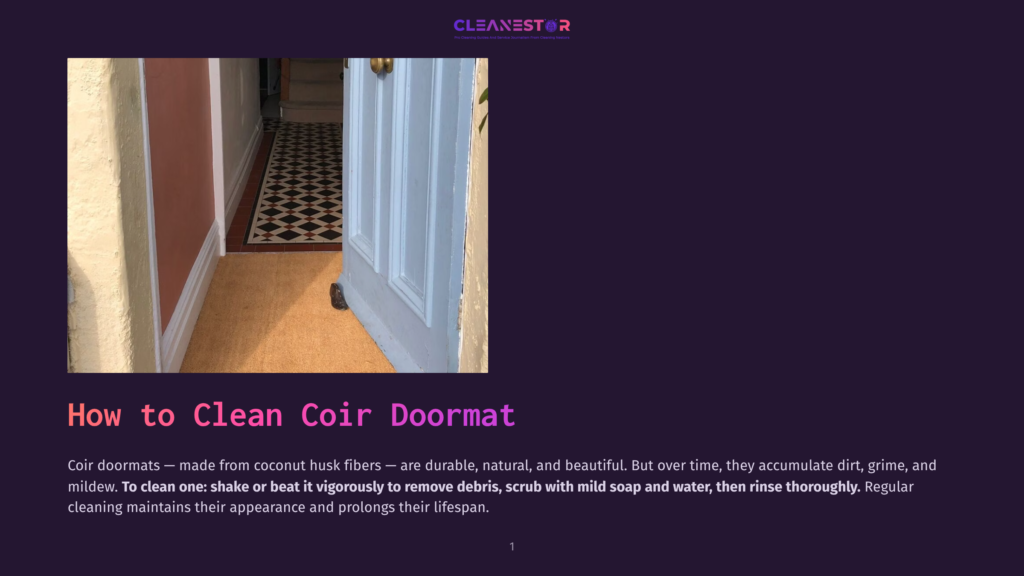 A Coir Doormat Sits In Front Of An Open Light Blue Door, With A Patterned Runner Rug Visible In The Hallway Behind It.