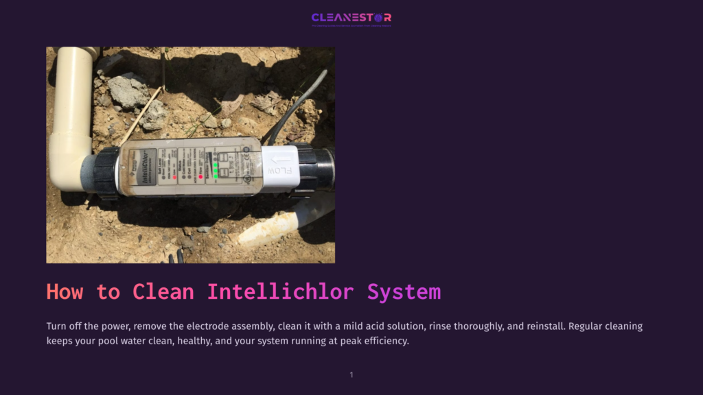 Close-Up Of A Cleanestor Intellichlor Pool Chlorine Generator System, Showing The Flow Meter And Indicator Lights, With Instructions To Turn Off Power Before Cleaning The Electrode Assembly.