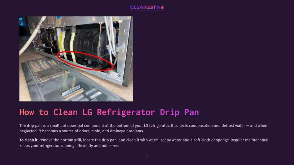 1 How To Clean Lg Refrigerator Drip Pan Close-Up Of The Rear Interior Of An Lg Refrigerator, Showing The Drip Pan And Condenser Coils, Circled In Red, With The Text &Quot;How To Clean Lg Refrigerator Drip Pan&Quot; Overlaid.