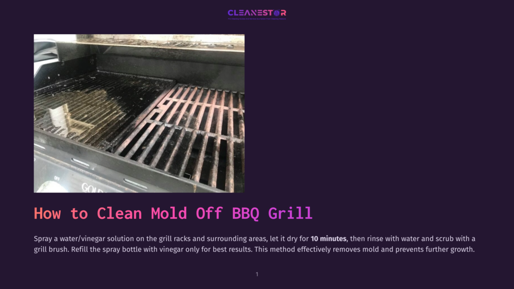 A Dirty Bbq Grill With Grates Covered In Mold And Grease, Ready For Cleaning With A Water And Vinegar Solution.