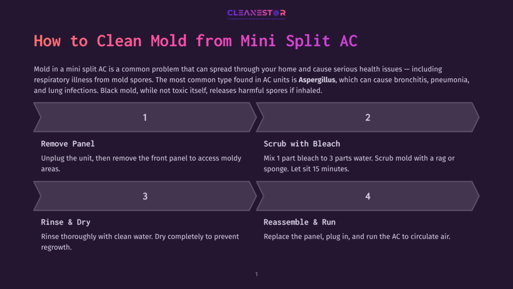 Infographic Detailing How To Clean Mold From A Mini Split Ac Unit, With Steps Including Removing The Panel, Scrubbing With Bleach, Rinsing, And Reassembling.
