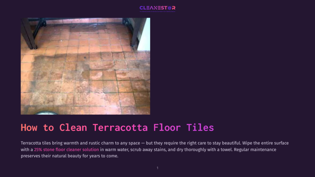 Dirty Terracotta Floor Tiles With Visible Water Stains And Ingrained Dirt, Contrasted With A Clean, Bright &Quot;Cleanestor&Quot; Logo At The Top.