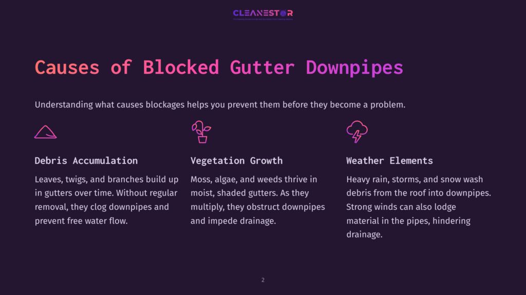 2 Causes Of Blocked Gutter Downpipes Illustration Showing The Causes Of Blocked Gutter Downpipes: Debris Accumulation, Vegetation Growth, And Weather Elements. Text Reads &Quot;Causes Of Blocked Gutter Downpipes.