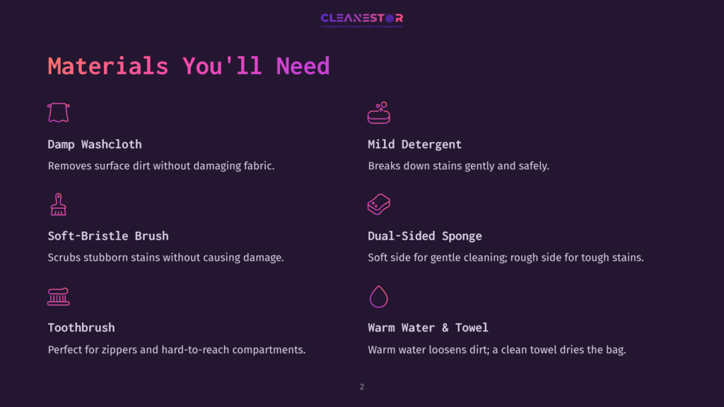 Graphic Listing Cleaning Supplies: Damp Washcloth, Soft-Bristle Brush, Toothbrush, Mild Detergent, Dual-Sided Sponge, Warm Water &Amp; Towel. Text From Cleanestor Logo At Top.
