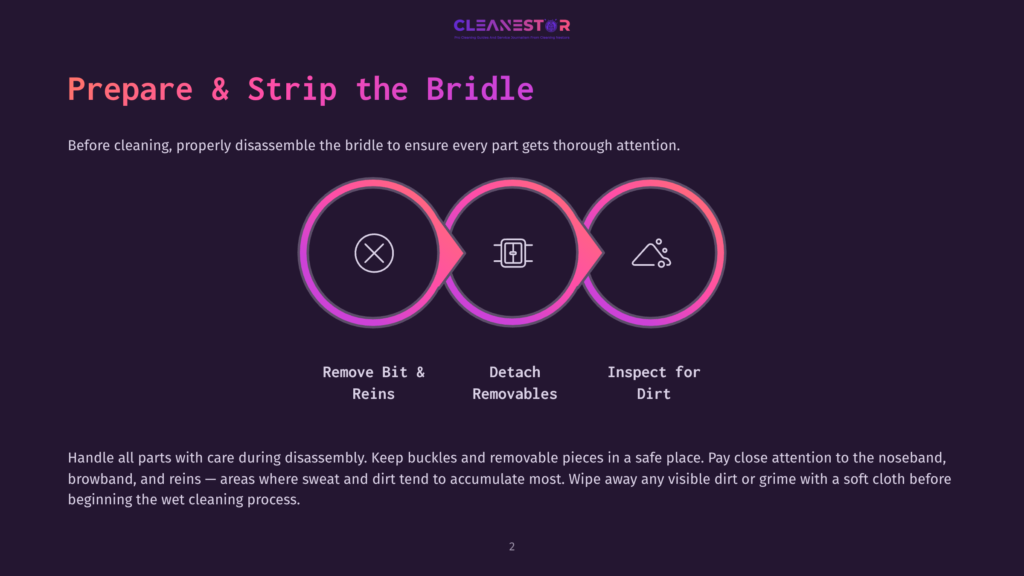 2 Prepare And Strip The Bridle Graphic Illustrating The Steps To Prepare And Strip A Bridle For Cleaning: Remove Bit &Amp; Reins, Detach Removables, Inspect For Dirt. Features A Clean, Modern Design With Purple And Pink Gradient Circles And Icons.