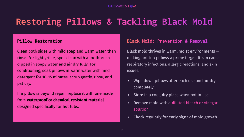 2 Restoring Pillows And Tackling Black Mold Title Card For A Presentation Titled &Quot;Restoring Pillows &Amp; Tackling Black Mold&Quot;. The Left Side, In Pink, Details &Quot;Pillow Restoration&Quot; And Cleaning Instructions. The Right Side, In Dark Purple, Details &Quot;Black Mold: Prevention &Amp; Removal&Quot; With Bullet Points.