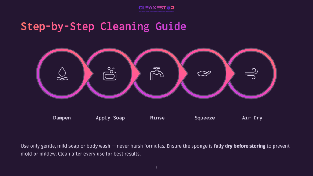 Step-By-Step Cleaning Guide Infographic From Cleanestor, Showing Icons For Dampen, Apply Soap, Rinse, Squeeze, And Air Dry, With Text Instructions Below.