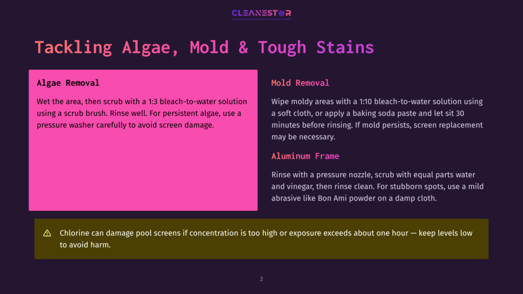 A Slide From Cleanestor Detailing How To Tackle Algae, Mold, And Tough Stains On Pool Screens, With Instructions For Algae Removal And Mold Removal, And A Warning About Chlorine Damage.