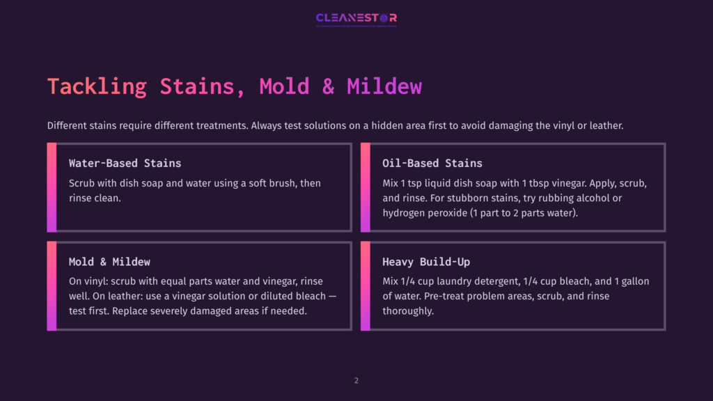Cleanestor Logo Above A Dark Background With Text Boxes Detailing How To Tackle Stains, Mold, And Mildew On Vinyl Or Leather. Sections Cover Water-Based Stains, Oil-Based Stains, Mold &Amp; Mildew, And Heavy Build-Up.
