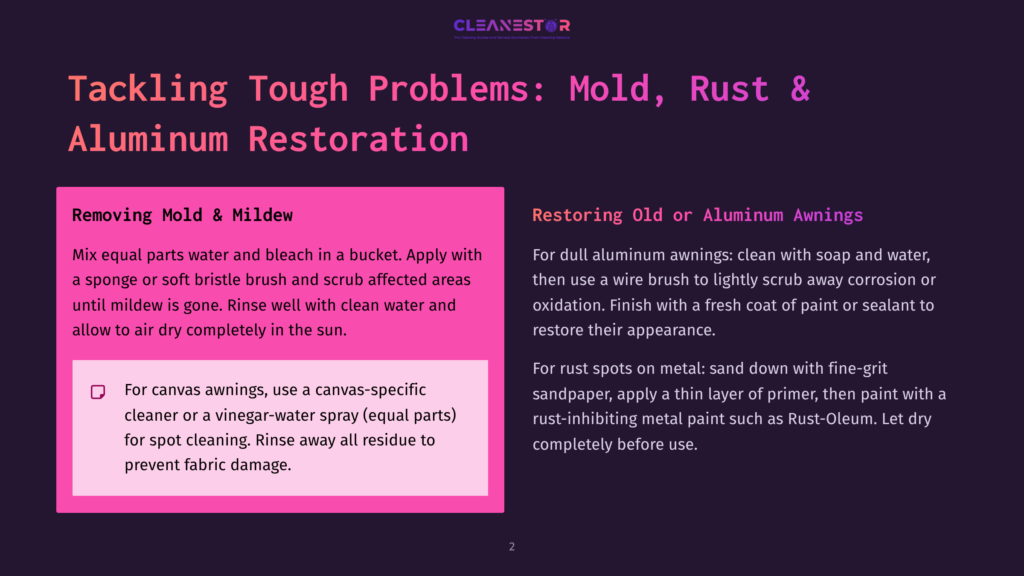 Text On A Dark Background: &Quot;Cleanestor Pro Cleaning Services And Restoration For Outdoor Living.&Quot; Below, &Quot;Tackling Tough Problems: Mold, Rust &Amp; Aluminum Restoration.&Quot; Left Side Details &Quot;Removing Mold &Amp; Mildew&Quot; With Instructions. Right Side Details &Quot;Restoring Old Or Aluminum Awnings&Quot; With Instructions.