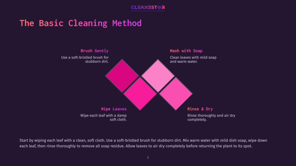 Infographic Titled &Quot;The Basic Cleaning Method&Quot; By Cleanestor, Detailing Steps: Brush Gently, Wash With Soap, Wipe Leaves, Rinse &Amp; Dry, With Colorful Diamond Shapes And Text Instructions.