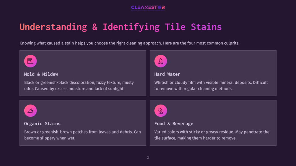 An Infographic Titled &Quot;Understanding &Amp; Identifying Tile Stains&Quot; Displays Four Common Tile Stain Types. A Mold And Mildew Stain Is Black Or Greenish-Black With A Fuzzy Texture, Caused By Excess Moisture. A Hard Water Stain Is Whitish Or Cloudy With Mineral Deposits, Difficult To Remove. An Organic Stain Is Brown Or Greenish-Brown Patches From Leaves And Debris, Becoming Slippery When Wet. A Food And Beverage Stain Has Varied Colors With Sticky Residue, Penetrating The Tile Surface.