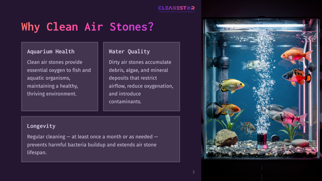 Tropical Fish Swim In A Clear Aquarium With Rocks And Plants, Bubbles Rising From An Air Stone. Text Highlights The Benefits Of Clean Air Stones For Aquarium Health And Water Quality.