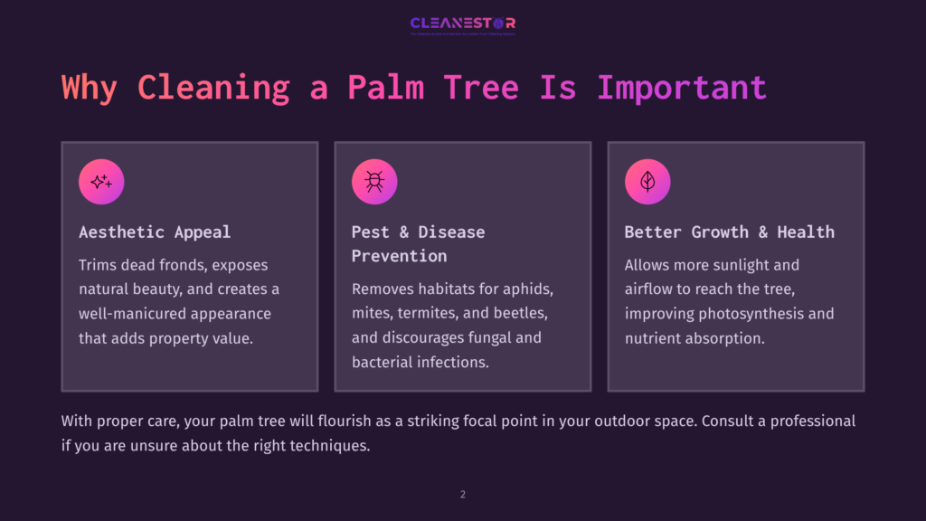 Graphic With Text &Quot;Why Cleaning A Palm Tree Is Important&Quot; And Three Columns Detailing &Quot;Aesthetic Appeal,&Quot; &Quot;Pest &Amp; Disease Prevention,&Quot; And &Quot;Better Growth &Amp; Health&Quot; For Palm Trees.
