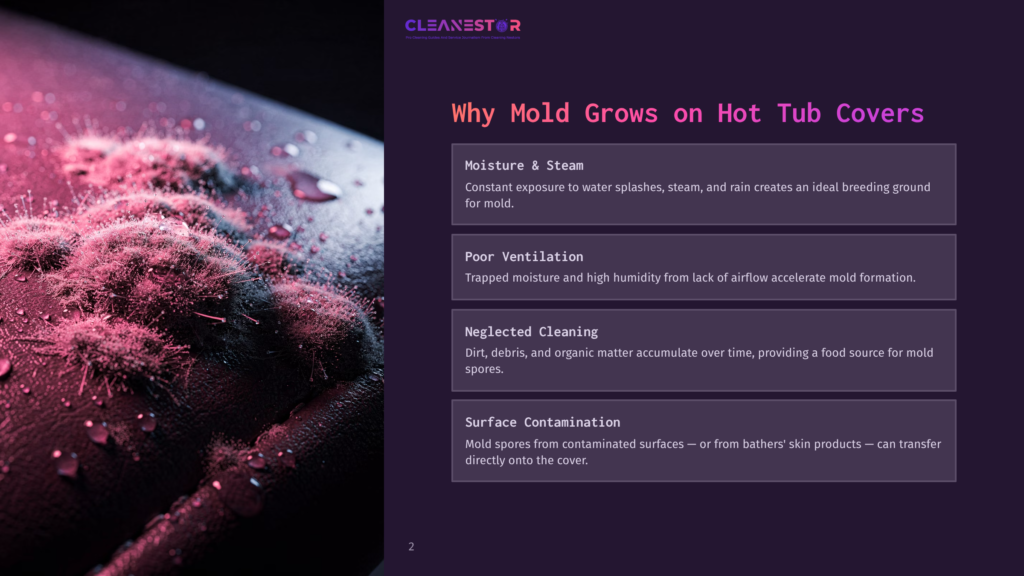 Close-Up Of Pink Mold Growing On A Dark Surface, With Water Droplets Visible. The Image Illustrates Why Mold Grows On Hot Tub Covers, As Detailed In The Text On The Right.