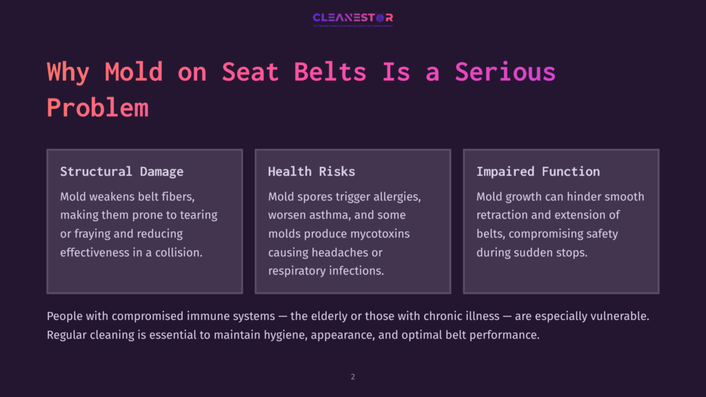 2 Why Mold On Seat Belts Is A Serious Problem Presentation Slide Titled &Quot;Why Mold On Seat Belts Is A Serious Problem,&Quot; Detailing Structural Damage, Health Risks From Mold Spores And Mycotoxins, And Impaired Function Due To Mold Growth On Seat Belts.