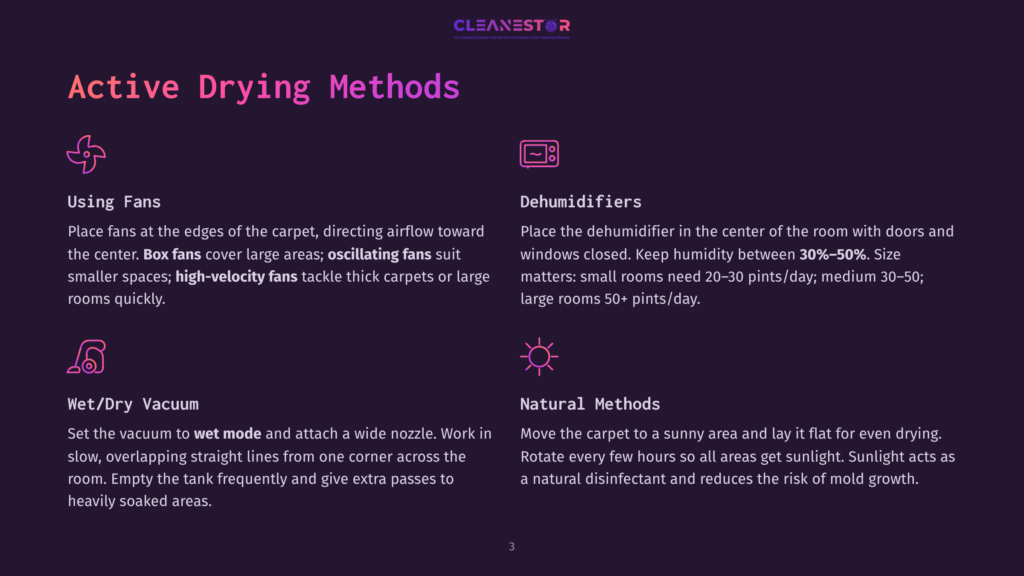 Infographic Detailing Active Drying Methods: Using Fans, Dehumidifiers, Wet/Dry Vacuum, And Natural Methods. Text Explains How Each Method Works To Dry Carpets And Rooms.