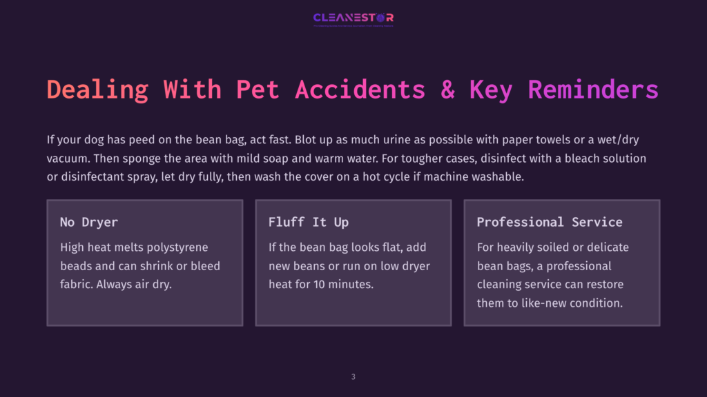 3 Dealing With Pet Accidents And Key Reminders Dealing With Pet Accidents &Amp; Key Reminders: Three Panels On Dealing With Pet Accidents On Bean Bags: No Dryer, Fluff It Up, And Professional Service, With Text Detailing Cleaning Instructions.