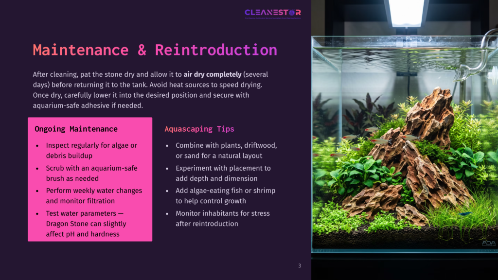 A Beautifully Aquascaped Aquarium With A Large Rock Formation, Lush Green Aquatic Plants, And Small Red And Blue Fish Swimming. The Text On The Left Discusses Aquarium Maintenance And Aquascaping Tips.