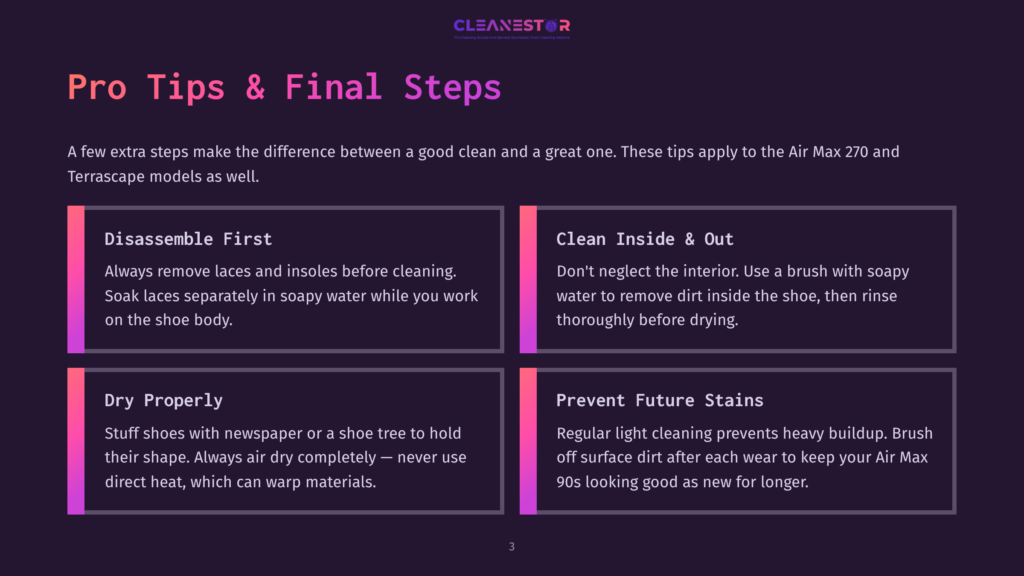 3 Pro Tips And Final Steps Infographic With Title &Quot;Pro Tips &Amp; Final Steps&Quot; Offering Advice On Cleaning Air Max 270 And Terrascape Shoes, With Sections On Disassembly, Cleaning Inside And Out, Proper Drying, And Preventing Future Stains.