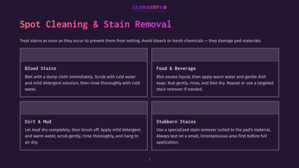 Cleanestor Logo And Infographic On Spot Cleaning And Stain Removal, Detailing Methods For Blood Stains, Food &Amp; Beverage, Dirt &Amp; Mud, And Stubborn Stains.