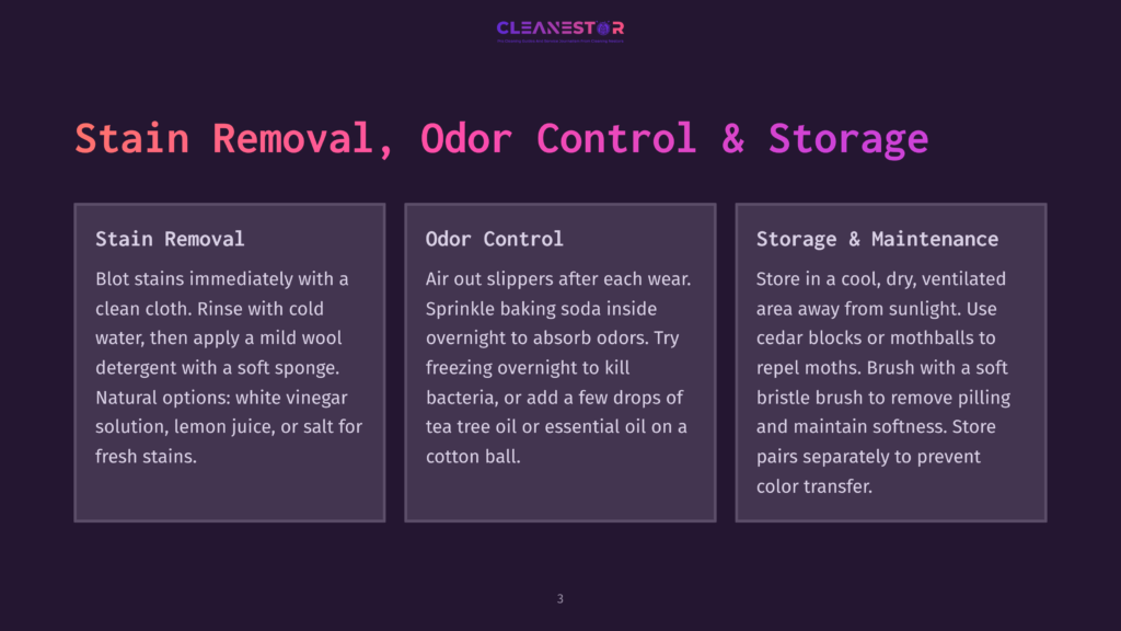 3 Stain Removal Odor Control And Storage A Dark Purple Graphic With The Text &Quot;Cleanestor&Quot; At The Top, And Three Columns Below Titled &Quot;Stain Removal,&Quot; &Quot;Odor Control,&Quot; And &Quot;Storage &Amp; Maintenance.