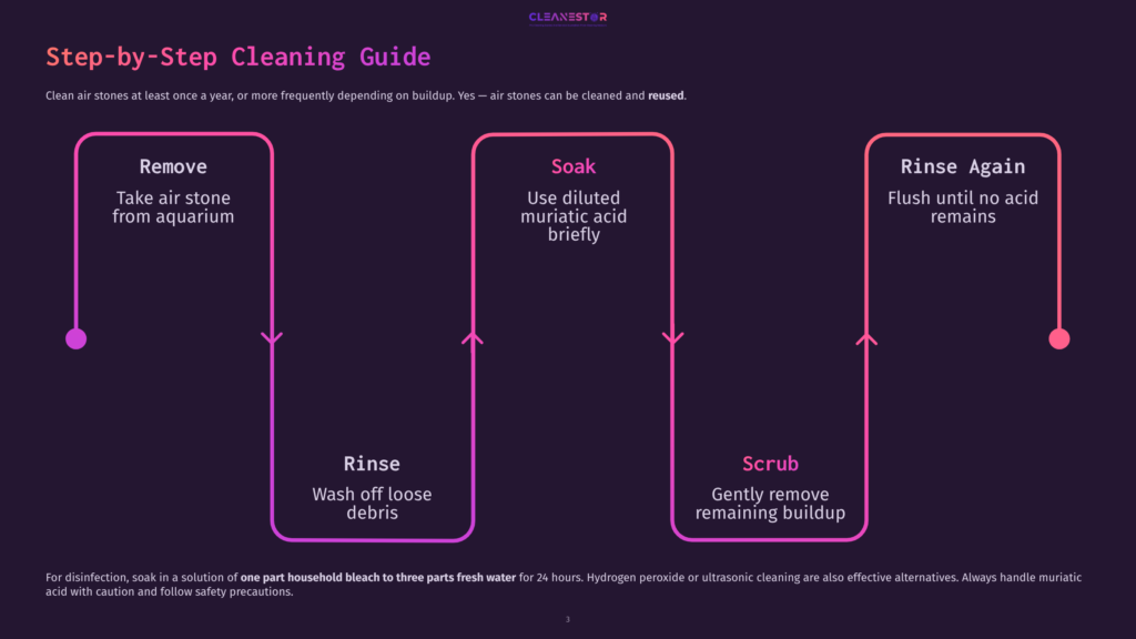 Step-By-Step Cleaning Guide Diagram With Three Pink Arrows Pointing Right. First Step: Remove Air Stone From Aquarium. Second Step: Soak With Diluted Muriatic Acid Briefly. Third Step: Rinse Again, Flush Until No Acid Remains. Fourth Step: Rinse, Wash Off Loose Debris. Fifth Step: Scrub, Gently Remove Remaining Buildup.