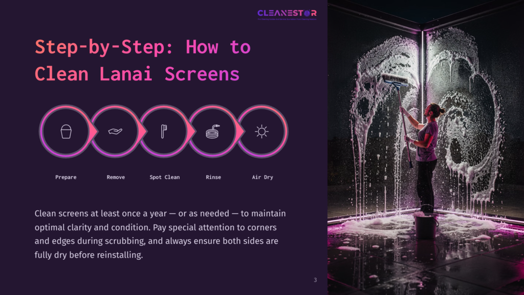 Step-By-Step Guide For Cleaning Lanai Screens, Illustrated With Icons Representing Preparation, Removal, Cleaning, Rinsing, And Air Drying, With A Photo Of A Person Washing A Window With A Squeegee And Soap Suds.