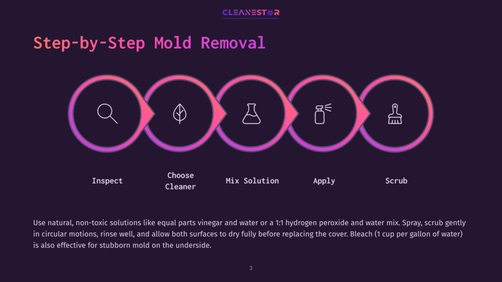 Step-By-Step Mold Removal Infographic With Icons For Inspect, Choose Cleaner, Mix Solution, Apply, And Scrub. Includes Text On Natural Cleaning Solutions.